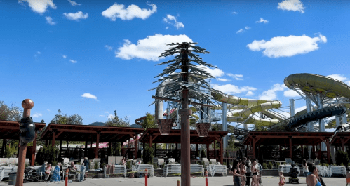 A water park scene featuring slides, a unique tree sculpture, and people enjoying the sunny day.